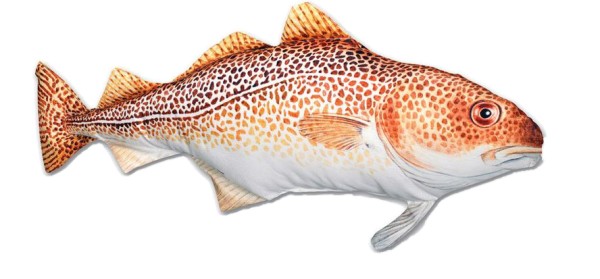 Artikelbild für Stoff-Fisch Dorsch, Länge 62 cm im Baltic Kölln Onlineshop